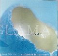 GLAMA One