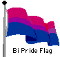 Bi Pride Flag