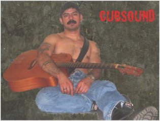 Cubsound