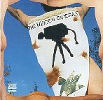 Hidden Cameras